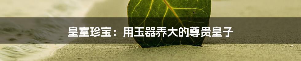 皇室珍宝:用玉器养大的尊贵皇子