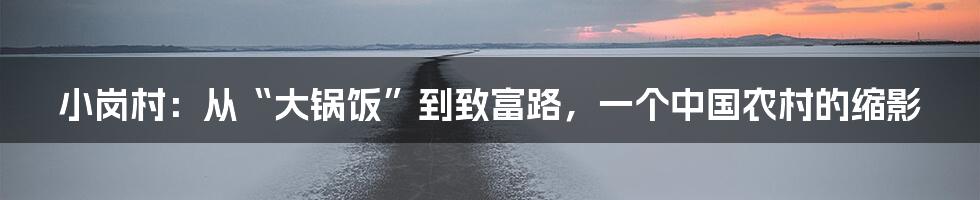 小岗村:从“大锅饭”到致富路,一个中国农村的缩影