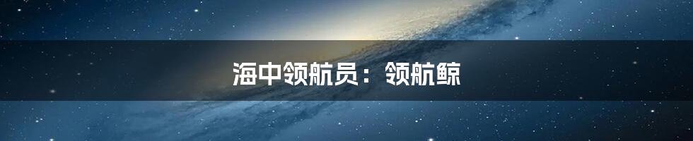 海中领航员:领航鲸