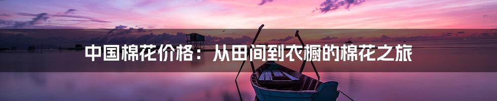 中国棉花价格:从田间到衣橱的棉花之旅