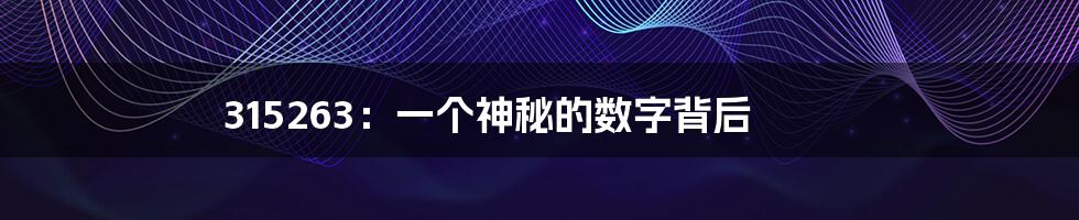 315263:一个神秘的数字背后