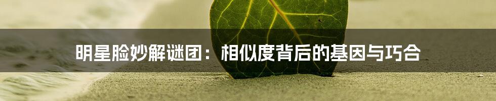明星脸妙解谜团:相似度背后的基因与巧合