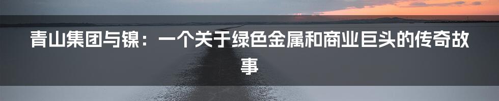 青山集团与镍：一个关于绿色金属和商业巨头的传奇故事