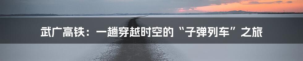 武广高铁:一趟穿越时空的“子弹列车”之旅