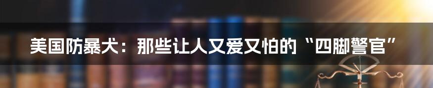 美国防暴犬:那些让人又爱又怕的“四脚警官”