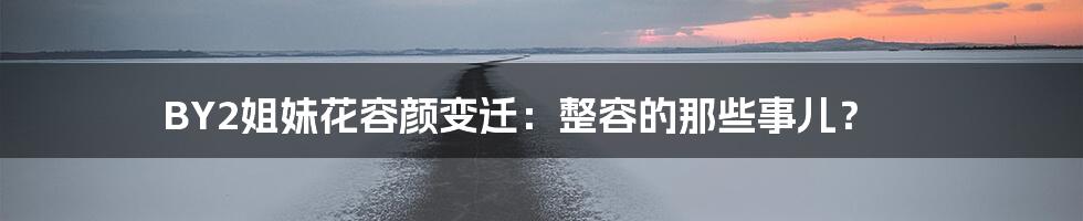BY2姐妹花容颜变迁:整容的那些事儿?