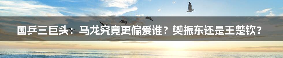 国乒三巨头:马龙究竟更偏爱谁?樊振东还是王楚钦?