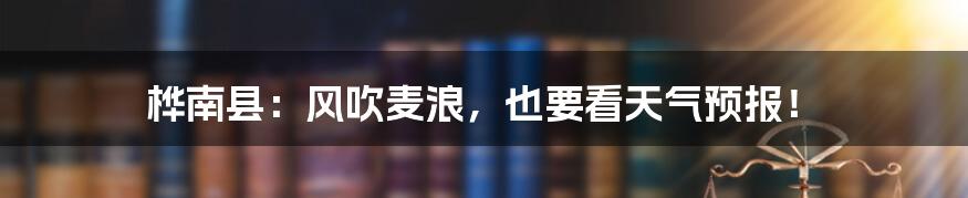 桦南县:风吹麦浪,也要看天气预报!