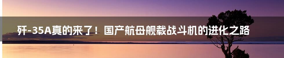 歼-35A真的来了!国产航母舰载战斗机的进化之路
