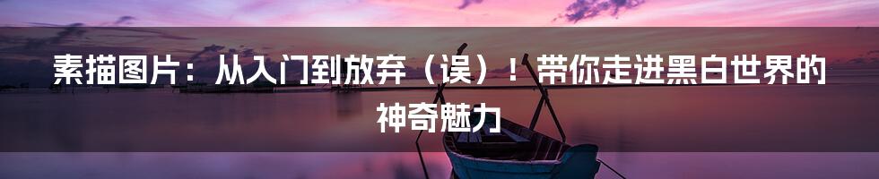 素描图片:从入门到放弃(误)!带你走进黑白世界的神奇魅力