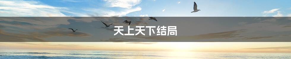 天上天下结局