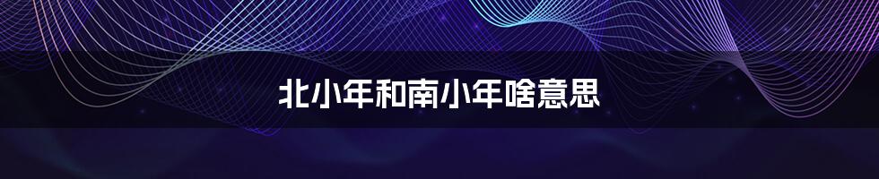 北小年和南小年啥意思
