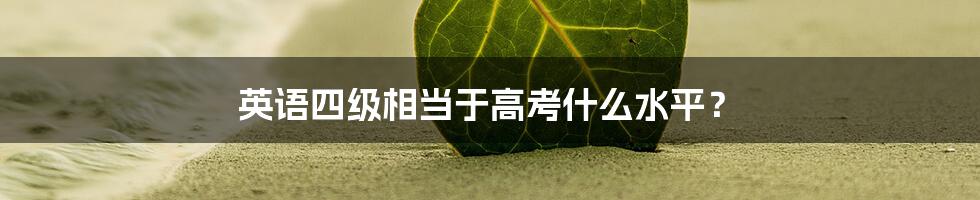 英语四级相当于高考什么水平？