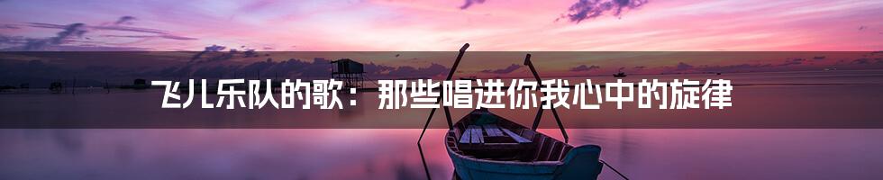 飞儿乐队的歌：那些唱进你我心中的旋律