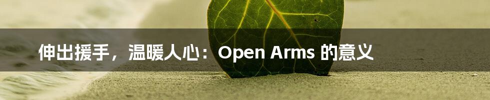 伸出援手,温暖人心:Open Arms 的意义