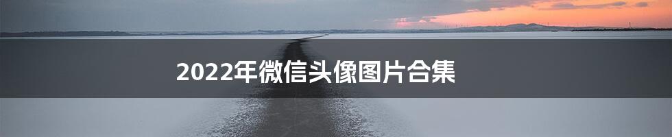 2022年微信头像图片合集