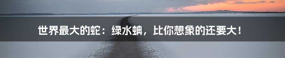 世界最大的蛇:绿水蚺,比你想象的还要大!