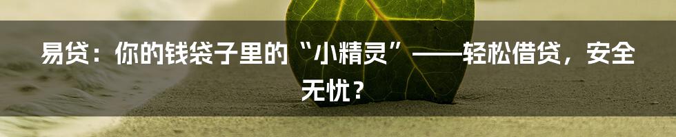 易贷:你的钱袋子里的“小精灵”——轻松借贷,安全无忧?