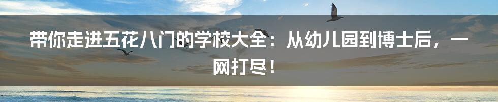 带你走进五花八门的学校大全：从幼儿园到博士后，一网打尽！