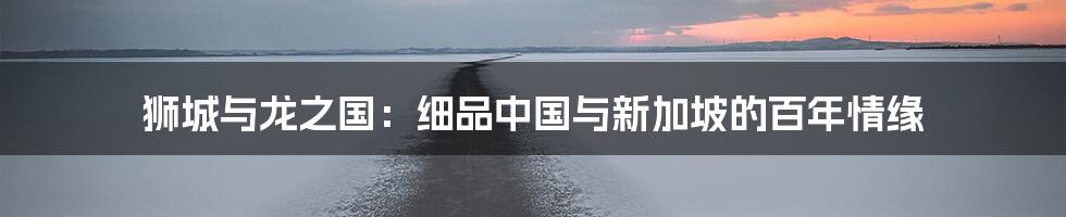 狮城与龙之国:细品中国与新加坡的百年情缘