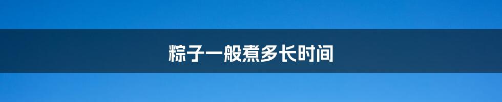 粽子一般煮多长时间
