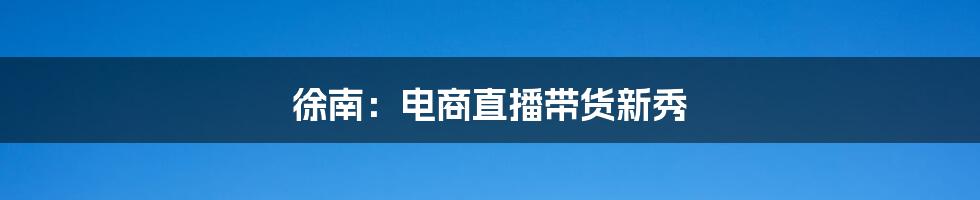 徐南:电商直播带货新秀
