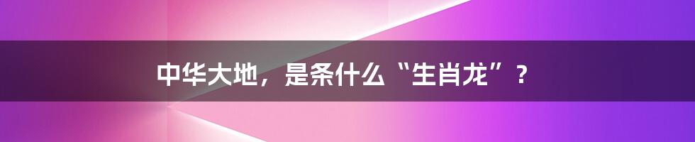 中华大地,是条什么“生肖龙”?