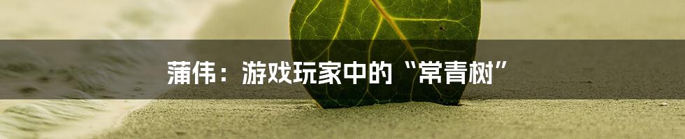 蒲伟:游戏玩家中的“常青树”