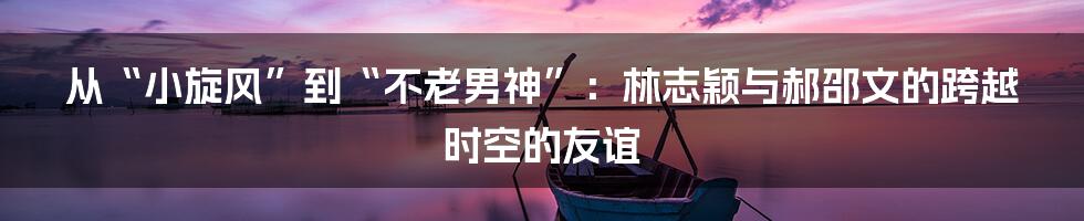 从“小旋风”到“不老男神”:林志颖与郝邵文的跨越时空的友谊