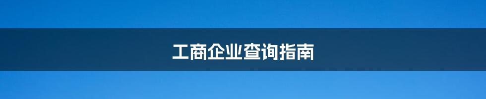 工商企业查询指南