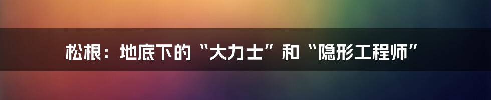 松根:地底下的“大力士”和“隐形工程师”