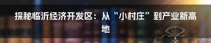 探秘临沂经济开发区:从“小村庄”到产业新高地