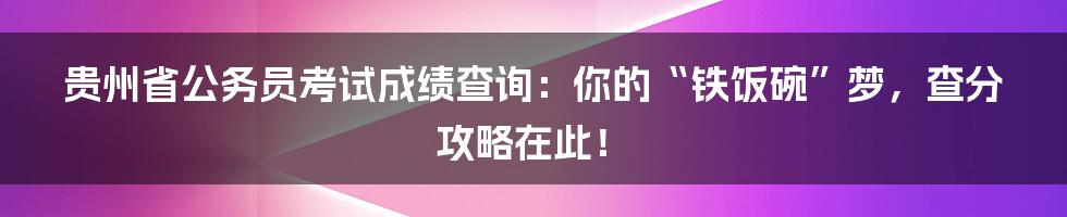 贵州省公务员考试成绩查询：你的“铁饭碗”梦，查分攻略在此！