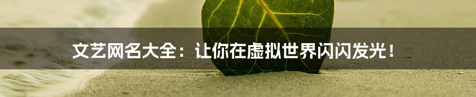 文艺网名大全:让你在虚拟世界闪闪发光!