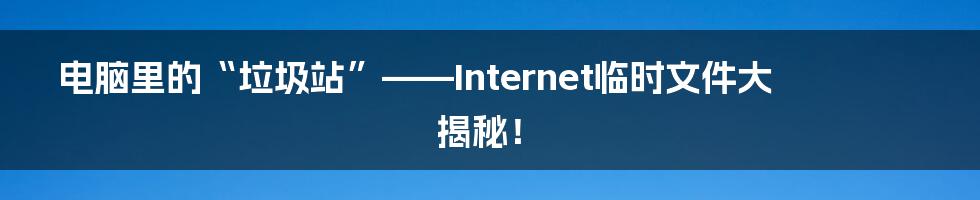 电脑里的“垃圾站”——Internet临时文件大揭秘!