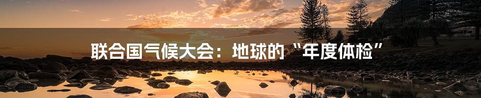 联合国气候大会:地球的“年度体检”