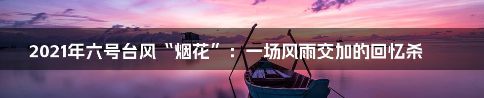 2021年六号台风“烟花”:一场风雨交加的回忆杀