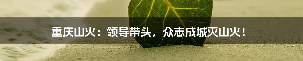 重庆山火:领导带头,众志成城灭山火!