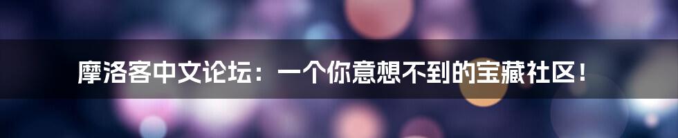摩洛客中文论坛:一个你意想不到的宝藏社区!