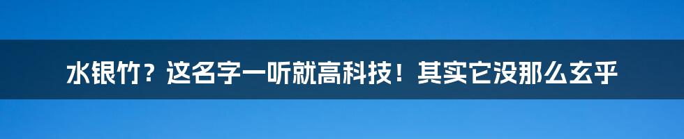 水银竹?这名字一听就高科技!其实它没那么玄乎