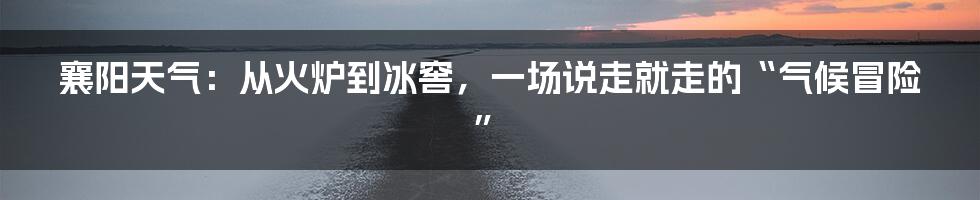 襄阳天气:从火炉到冰窖,一场说走就走的“气候冒险”