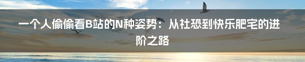 一个人偷偷看B站的N种姿势:从社恐到快乐肥宅的进阶之路