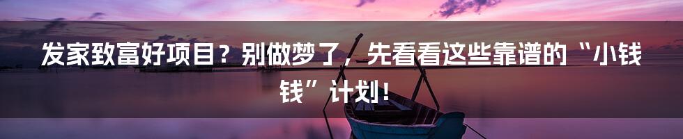 发家致富好项目?别做梦了,先看看这些靠谱的“小钱钱”计划!