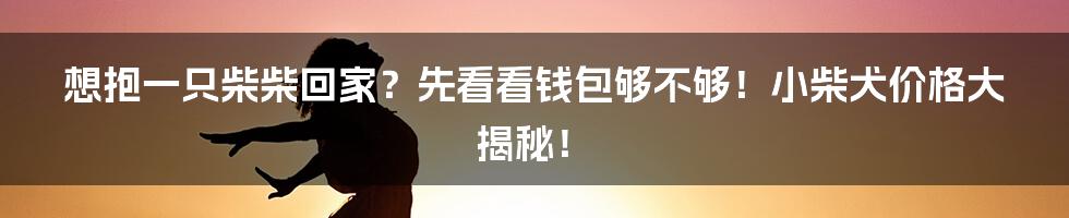 想抱一只柴柴回家？先看看钱包够不够！小柴犬价格大揭秘！