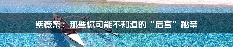 紫薇系:那些你可能不知道的“后宫”秘辛