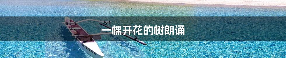 一棵开花的树朗诵