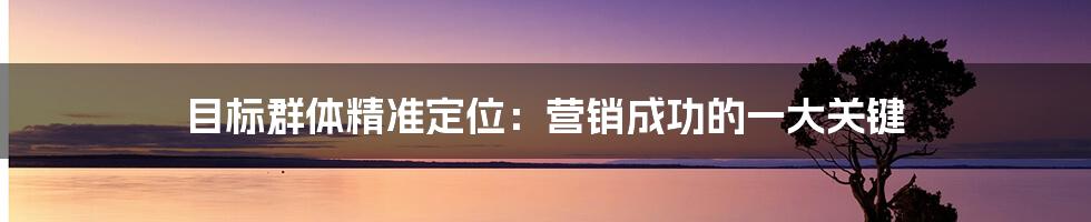 目标群体精准定位:营销成功的一大关键