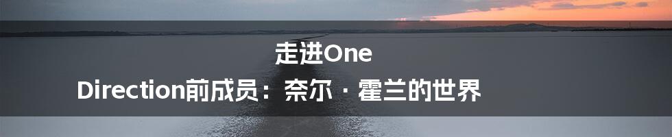 走进One Direction前成员：奈尔·霍兰的世界