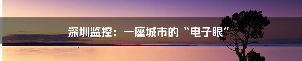 深圳监控:一座城市的“电子眼”