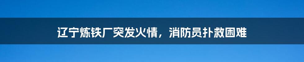 辽宁炼铁厂突发火情,消防员扑救困难